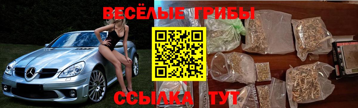Галлюциногенные грибы прущие грибы  продажа наркотиков  Тихвин  Вход с VPN 